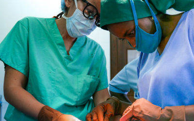 Sutures that Bind Us: The Experiences of Women Surgeons in United States & Tanzania